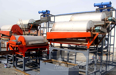 Magnetic Separator